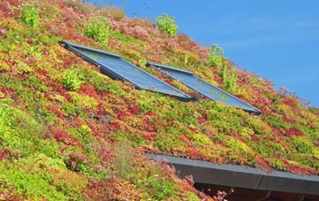 Stackpole living roof systems
