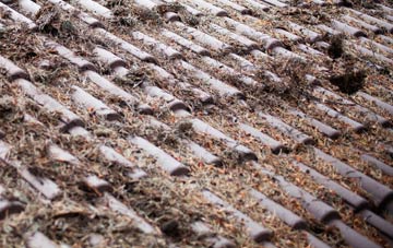 Stackpole roof cleaning companies