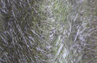 Stackpole fibreglass roof work